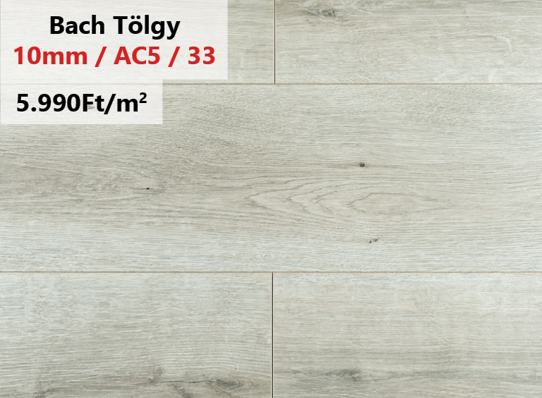 bach_tolgy_learazas